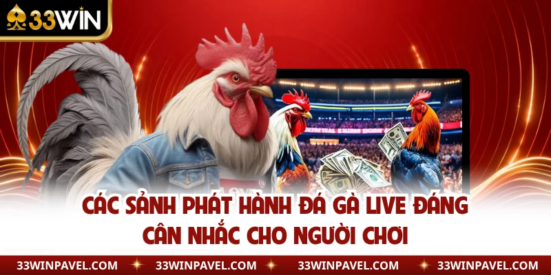 Các sảnh phát hành đá gà live đáng cân nhắc cho người chơi