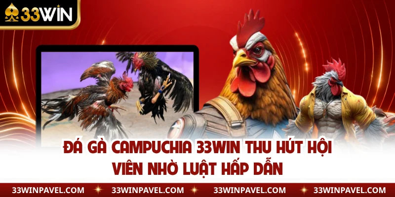 Đá Gà Campuchia 33WIN Thu Hút Hội Viên Nhờ Luật Hấp Dẫn