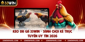 Kèo Đá Gà 33WIN - Sảnh Chọi Kê Trực Tuyến Uy Tín 2026