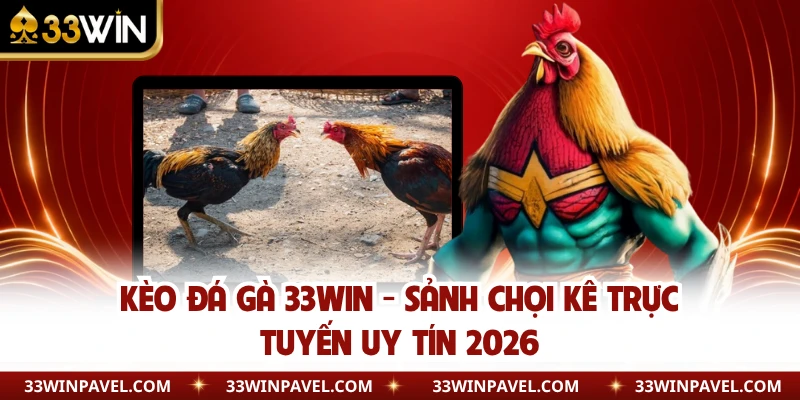 Kèo Đá Gà 33WIN - Sảnh Chọi Kê Trực Tuyến Uy Tín 2026
