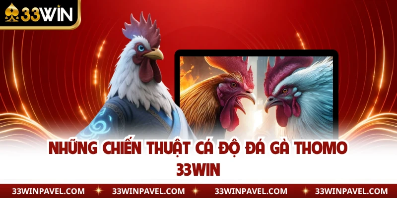 Những chiến thuật cá độ đá gà Thomo 33WIN 